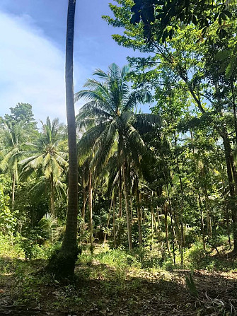6 Rai Land for Lease in Baanmadeowan Phangan - photo 19