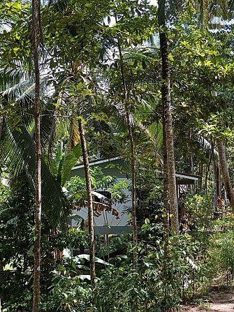 6 Rai Land for Lease in Baanmadeowan Phangan - photo 18