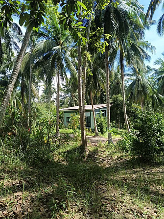 6 Rai Land for Lease in Baanmadeowan Phangan - photo 4