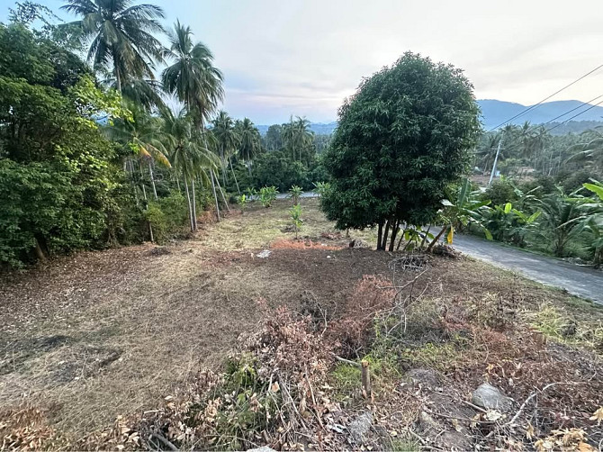 Land for Lease in Na Mueang, Koh Samui Samui - photo 3