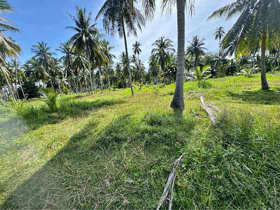 Land for Lease in Nathon, Koh Samui Samui