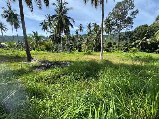 Land for Lease in Nathon, Koh Samui Samui