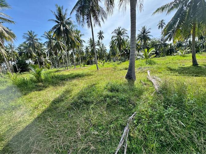 Land for Lease in Nathon, Koh Samui Samui - photo 1