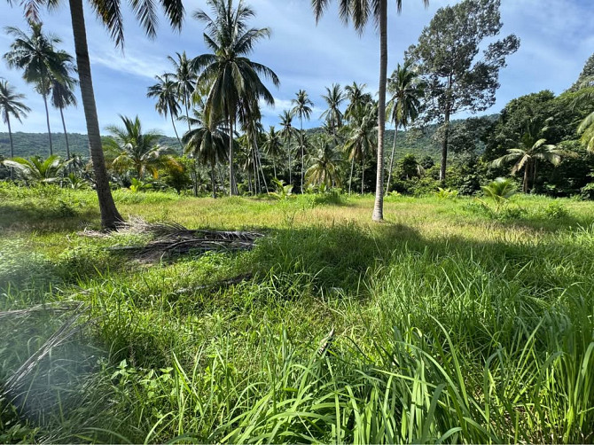 Land for Lease in Nathon, Koh Samui Samui - photo 4