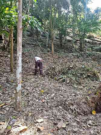 Land for Lease in Nature with River Access Phangan