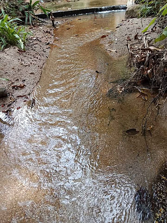 Land for Lease in Nature with River Access Phangan - photo 7