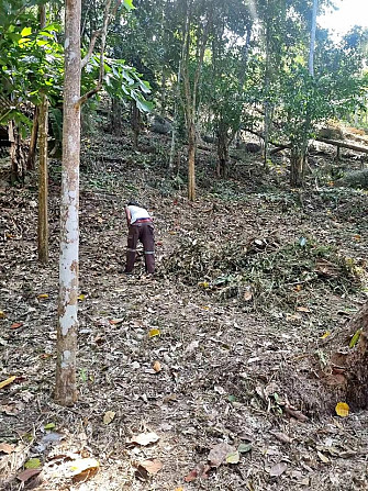 Land for Lease in Nature with River Access Phangan - photo 1