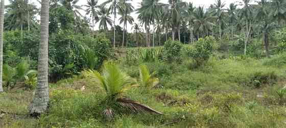 3200 sqm Land for Lease in Ban Thong Nang Phangan