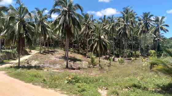 3200 sqm Land for Lease in Ban Thong Nang Phangan