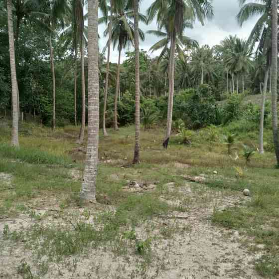 3200 sqm Land for Lease in Ban Thong Nang Phangan