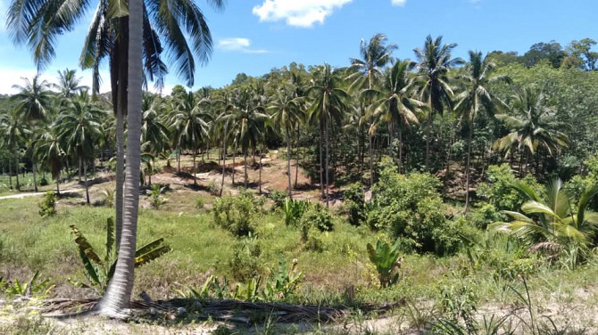 3200 sqm Land for Lease in Ban Thong Nang Phangan - photo 8