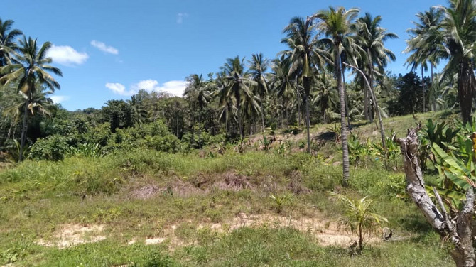 3200 sqm Land for Lease in Ban Thong Nang Phangan - photo 7