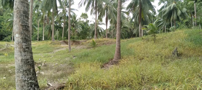 3200 sqm Land for Lease in Ban Thong Nang Phangan - photo 9