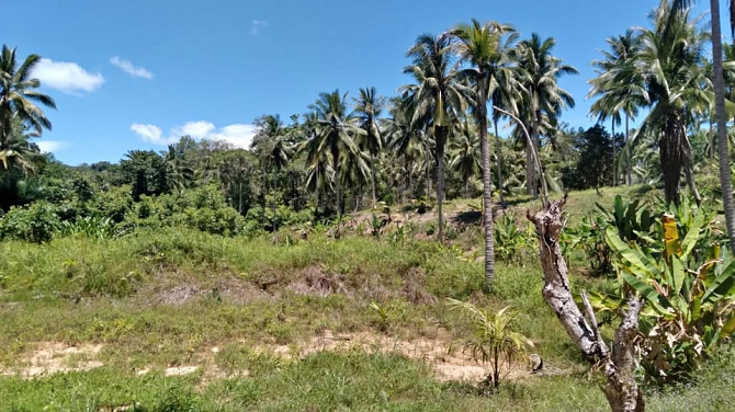3200 sqm Land for Lease in Ban Thong Nang Phangan - photo 1