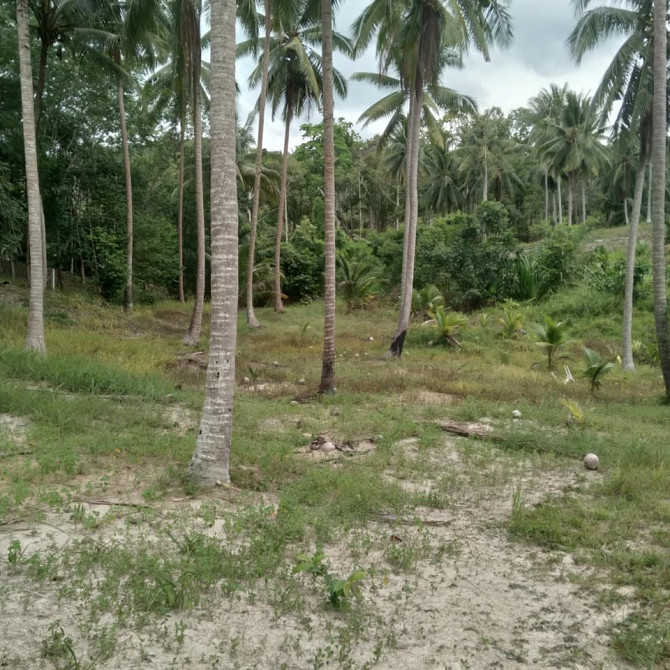 3200 sqm Land for Lease in Ban Thong Nang Phangan - photo 3