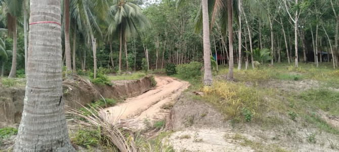3200 sqm Land for Lease in Ban Thong Nang Phangan - photo 6