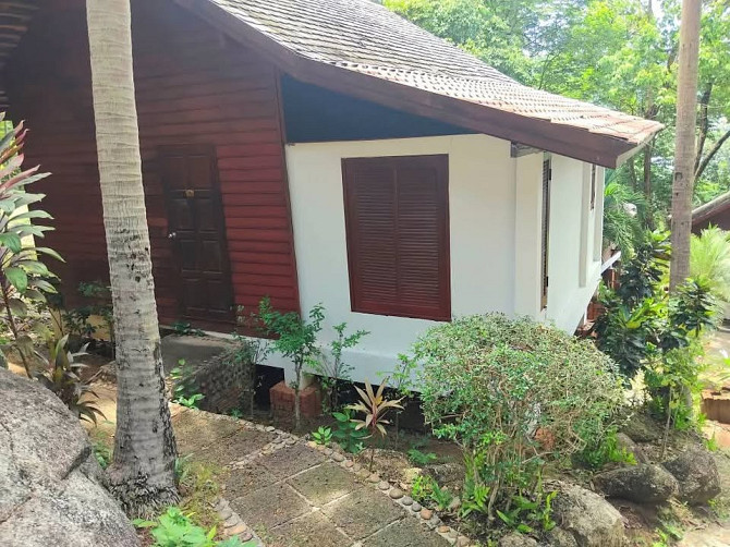 Deluxe Bungalow Short Term Rent in Lamai Samui - photo 3