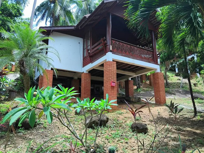 Deluxe Bungalow Short Term Rent in Lamai Samui - photo 8
