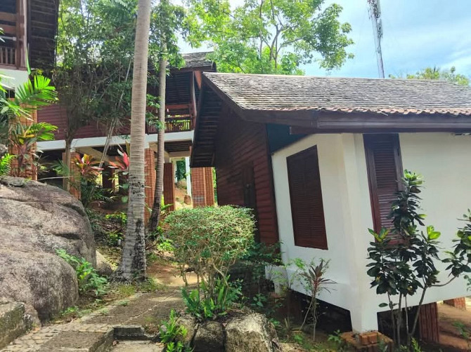 Deluxe Bungalow Short Term Rent in Lamai Samui - photo 6