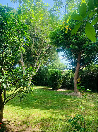 2 Bedroom House for Long Term Rent in Chaweng Samui - photo 16
