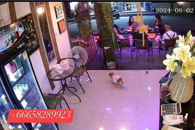 Bar Business for Sale Near Jomtien Beach Pattaya - photo 3