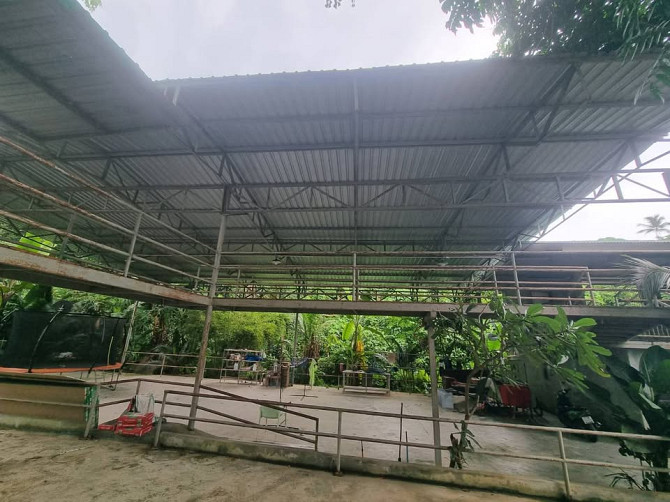 Commercial Building for Rent - Multi-Purpose Use Samui - photo 3
