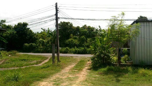 Warehouse & Accommodation for Rent in Phuket Phuket - photo 2
