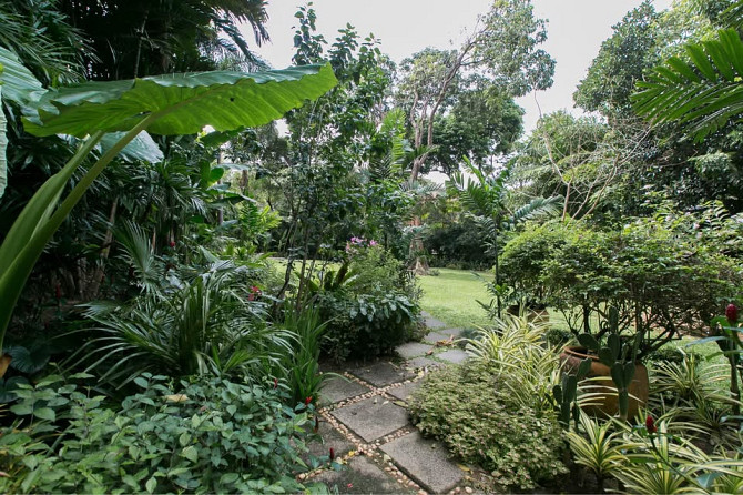 3 Bedroom Villa for Sale in Kata Phuket - photo 5