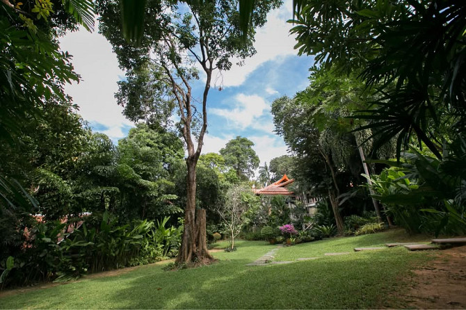 3 Bedroom Villa for Sale in Kata Phuket - photo 10