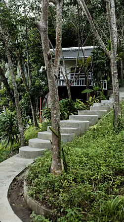 Bungalow for Rent in Koh Phangan - Summer Season Phangan - photo 2