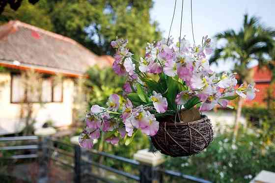 3 Bedroom Pool Villa for Rent in Lamai สมุย