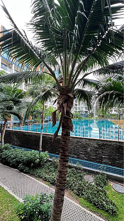 1 Bedroom Apartment for Long Term Rent Pattaya - photo 14