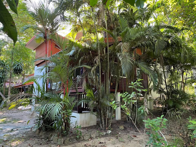 House for rent Phangan - photo 15