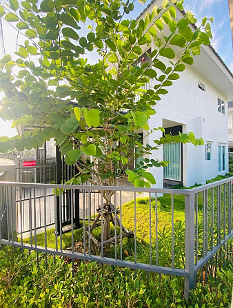 House for rent Phuket - photo 5