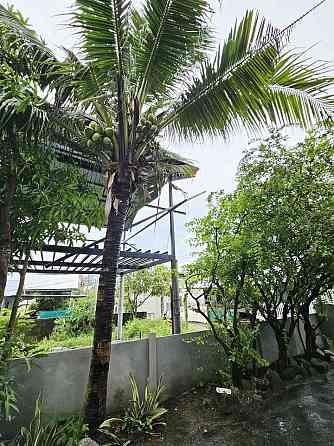 3 Bedroom House for Rent in Chalong Phuket