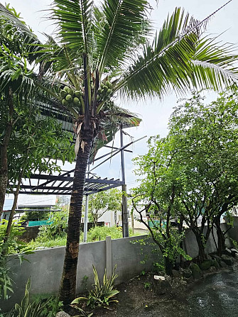 3 Bedroom House for Rent in Chalong Phuket - photo 6