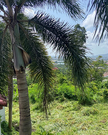 1 Bedroom Bungalow for Rent with Sea View Phuket - photo 18
