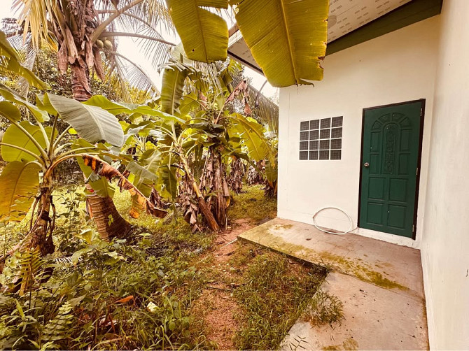 Jungle House for Long Term Rent Phangan - photo 19