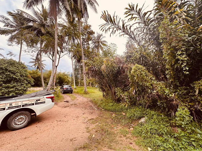 Jungle House for Long Term Rent Phangan - photo 20