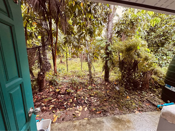 Jungle House for Long Term Rent Phangan - photo 17