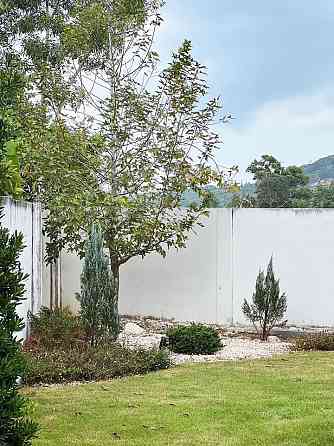 House for rent ภูเก็ต