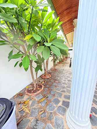2 Bedroom House for Rent in South Pattaya Pattaya
