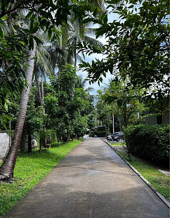 Studio House for Rent in Bophut Resort Samui - photo 14