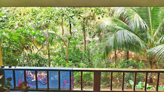 1 Bedroom Bungalow for Rent in Tong Sala Phangan - photo 1