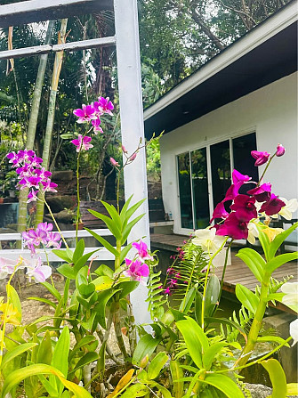 1 Bedroom Bungalow for Rent with Free Utilities Phuket - photo 11
