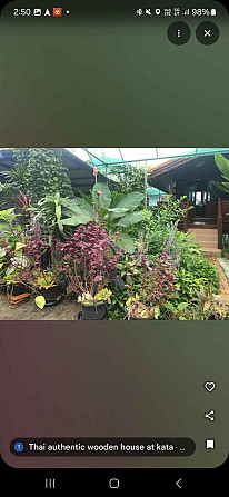 Thai Style House for Rent with Garden Phuket - photo 9