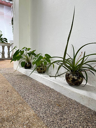 2 Bedroom House for Rent in Chalong Phuket - photo 15