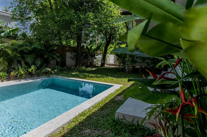 House for rent Phangan - photo 5