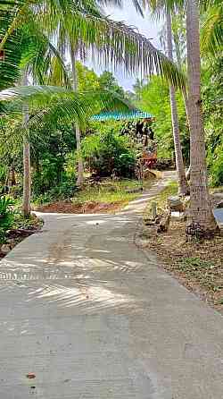1 Bedroom House for Long Term Rent in Koh Phangan Phangan