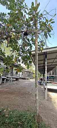 1 Bedroom Bungalow for Rent Phangan